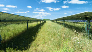Held Solar Farm Near St Cloud Minnesota